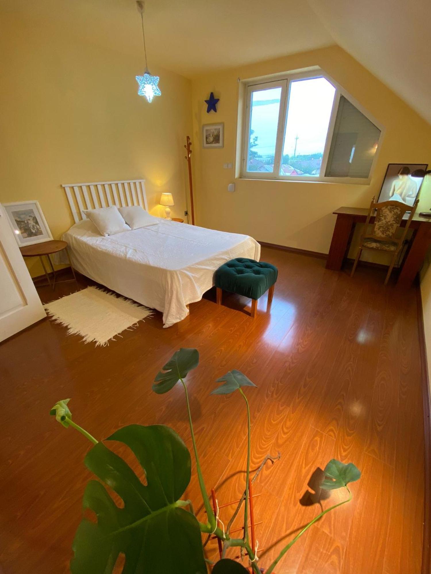 Cosy Bedroom For 2 With Balcony In A Family Villa Turnu Măgurele 外观 照片